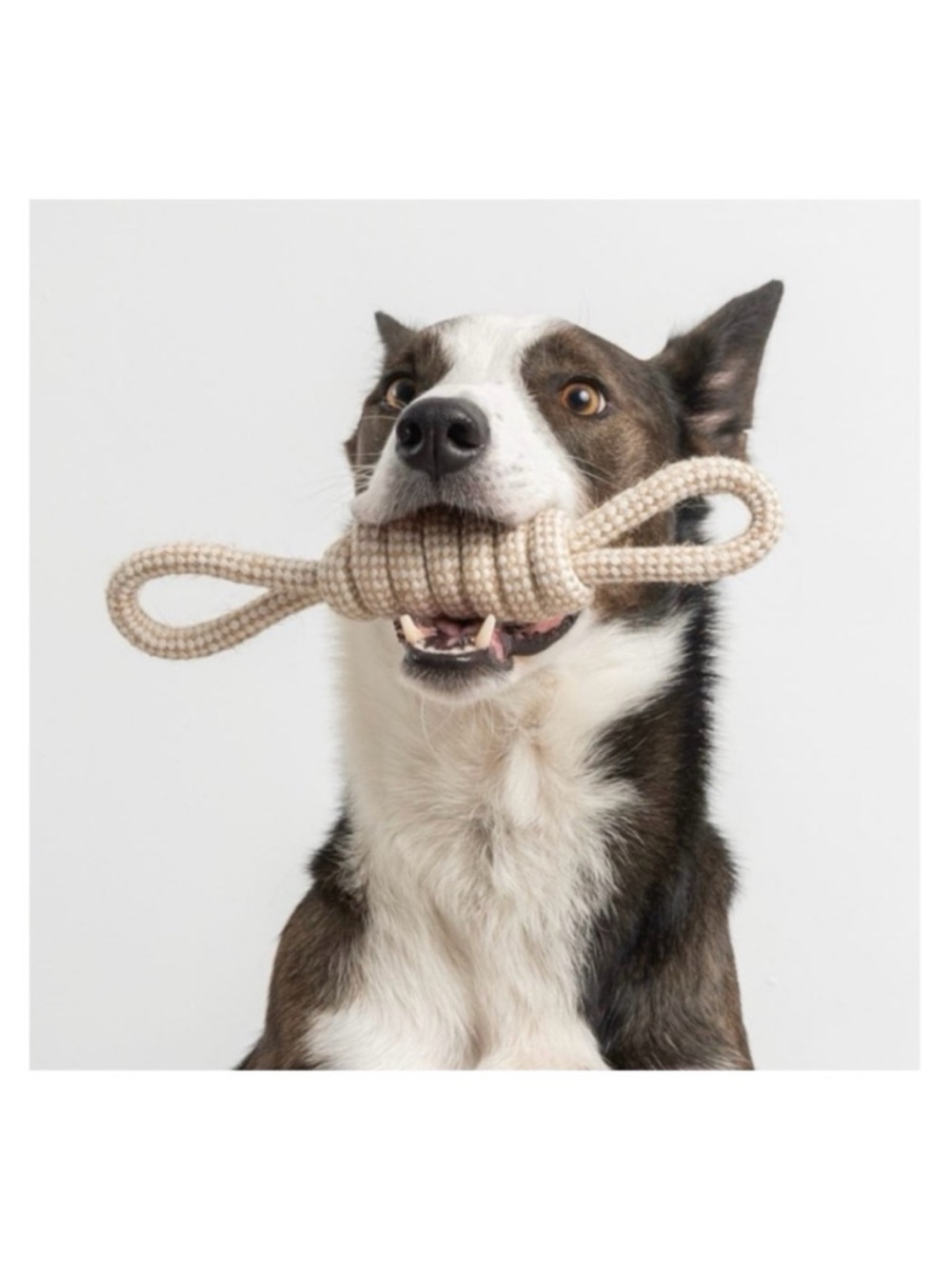 🆕 Dog Chew and Tug Knotted Natural Rope/Jute Bow Toy